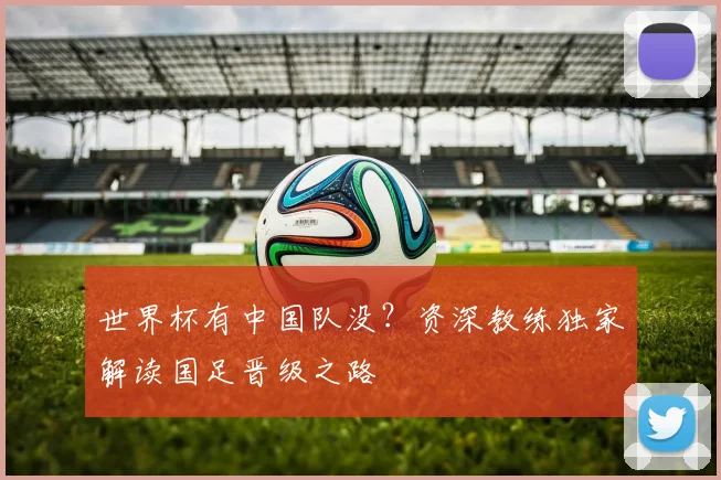 世界杯有中国队没？资深教练独家解读国足晋级之路