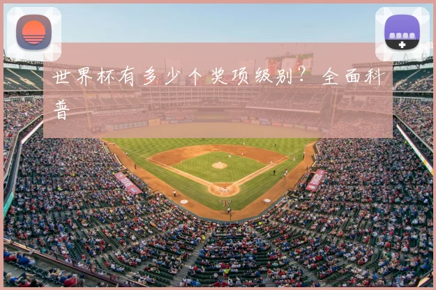 世界杯有多少个奖项级别？全面科普
