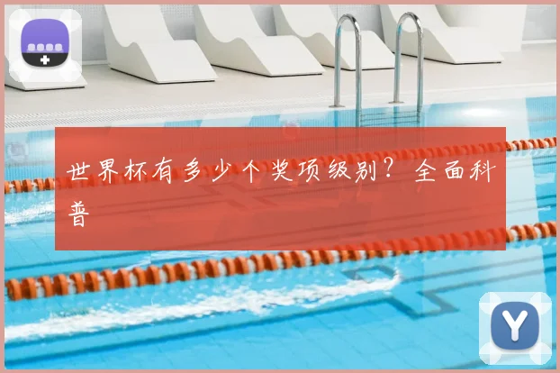 世界杯有多少个奖项级别？全面科普