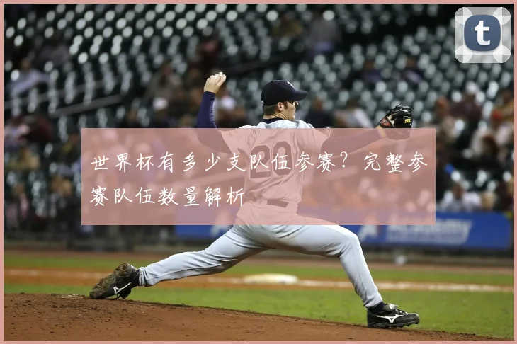 世界杯有多少支队伍参赛？完整参赛队伍数量解析